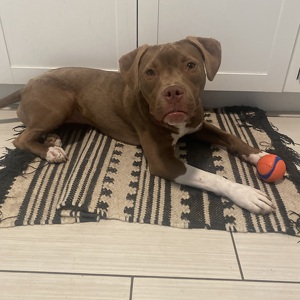 Fundraising Page: lindsey grizzard